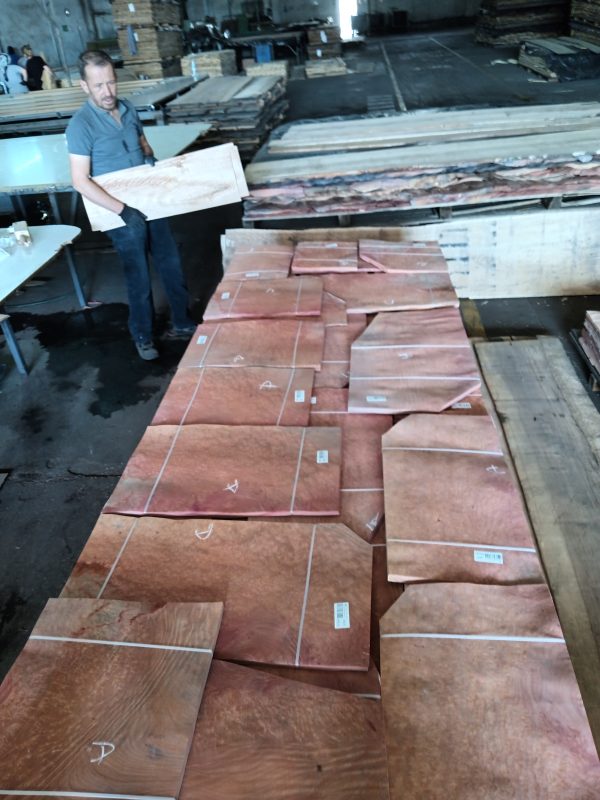 Veneering Wood - Image 6