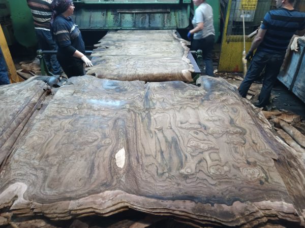 Veneering Wood - Image 11