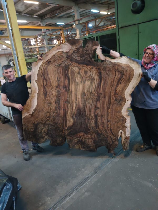 Veneering Wood - Image 14