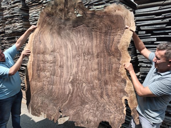 Veneering Wood - Image 16