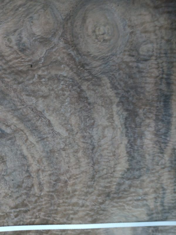 Veneering Wood - Image 19