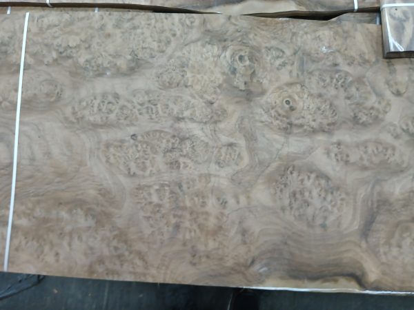 Veneering Wood - Image 31