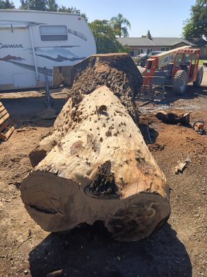 HARDWOODS