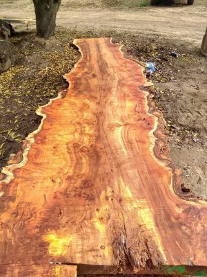 Exotic Slabs