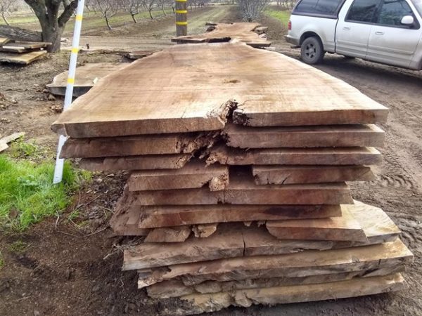 Exotic Slabs - Image 7