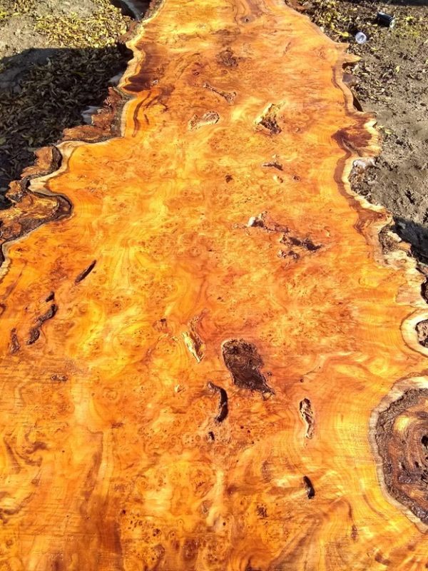 Exotic Slabs - Image 6
