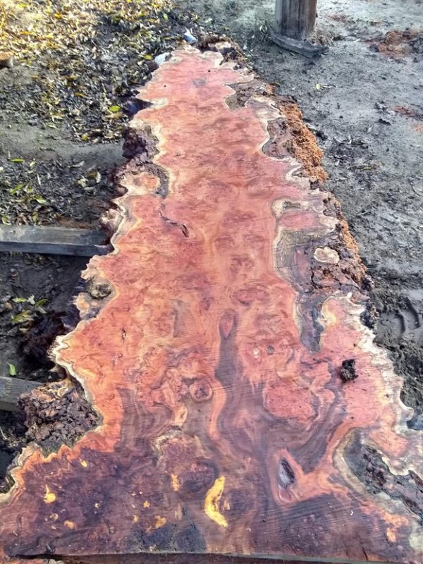 Exotic Slabs - Image 5
