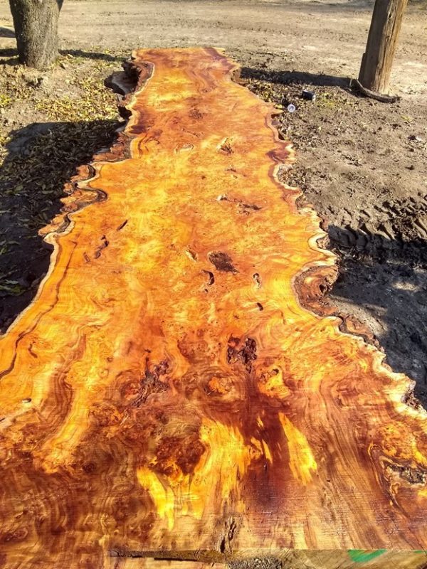 Exotic Slabs - Image 4